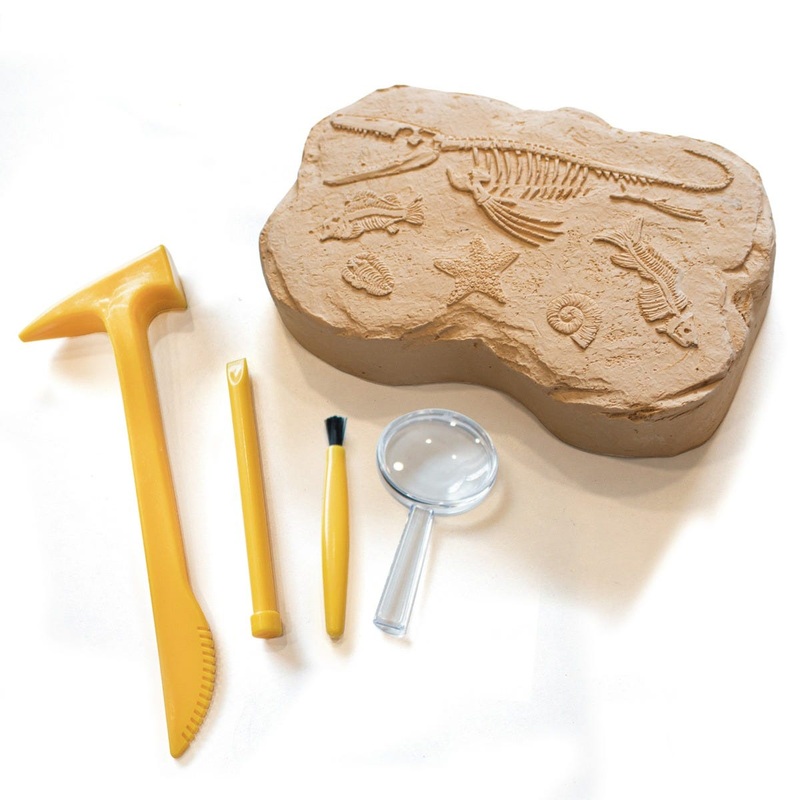 Geosafari Fossil Excavation Kit