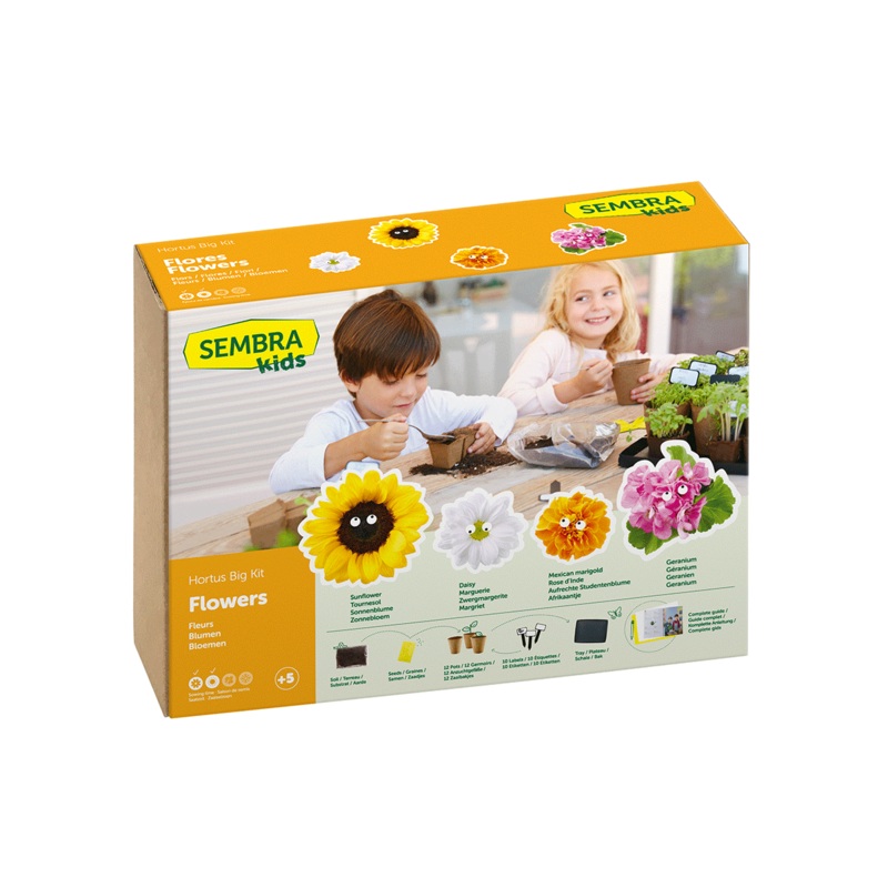 SEMBRA BIG Summer Flowers Kits