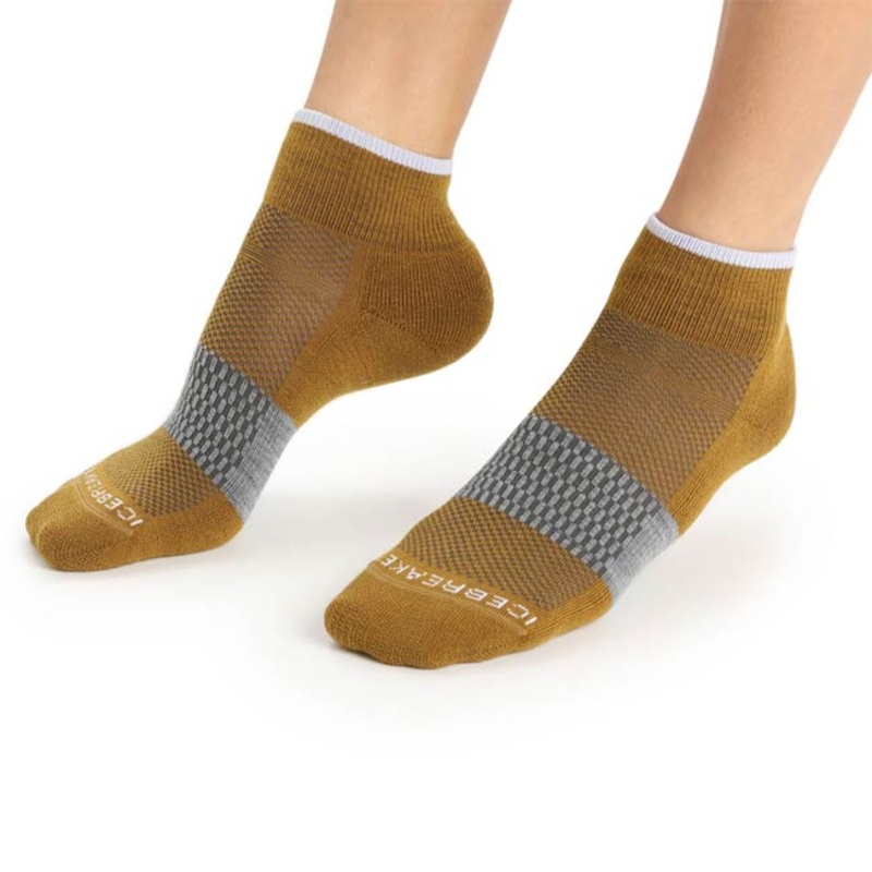 Icebreaker Womens Multi Light Mini Socks