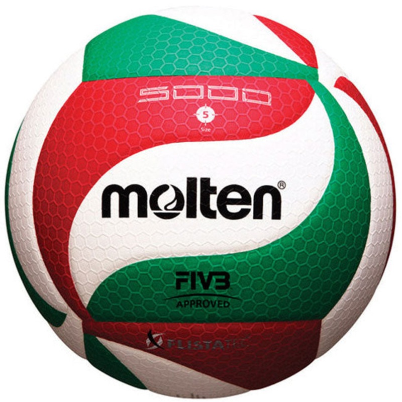 MOLTEN V5M5000 MATCH VOLLEYBALL
