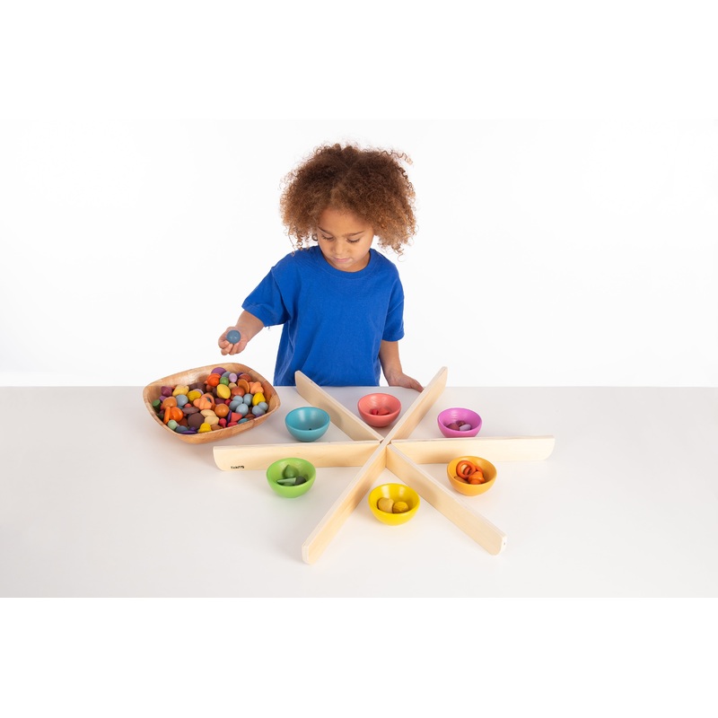 Wooden Discovery Dividers