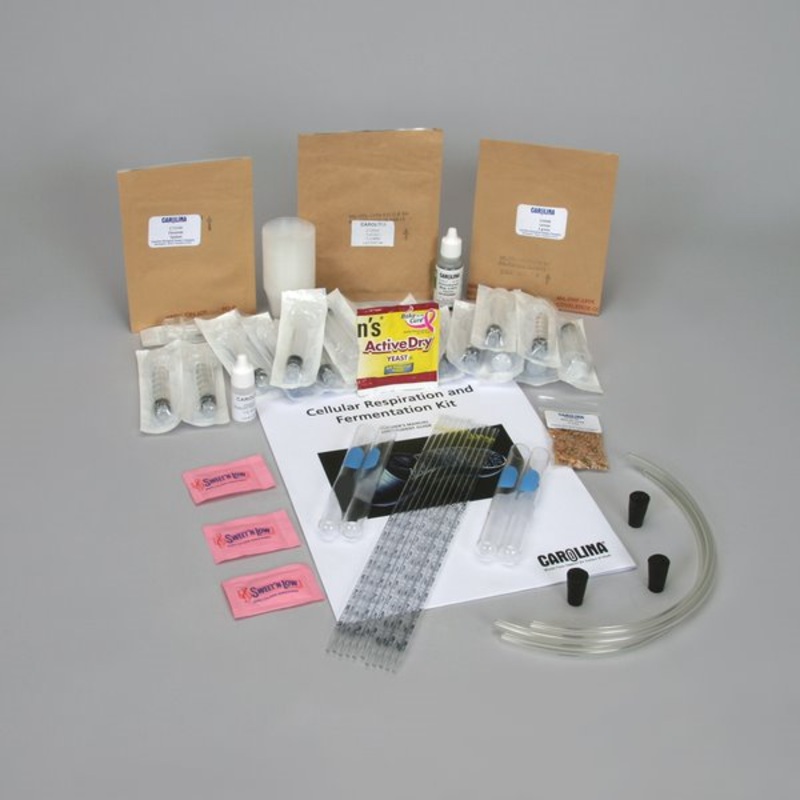 Cellular Respiration & Fermentation Kit