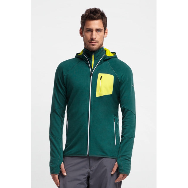 ICEBREAKER MENS ATOM LS PNE/CTS