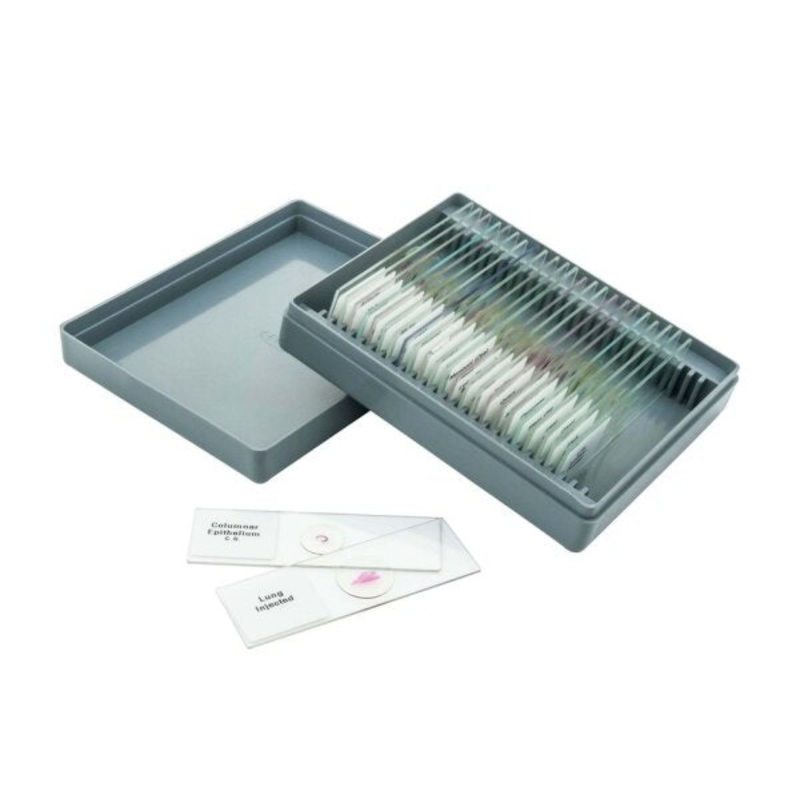 Basic GCSE Slide Set of 25 (Each Set )
