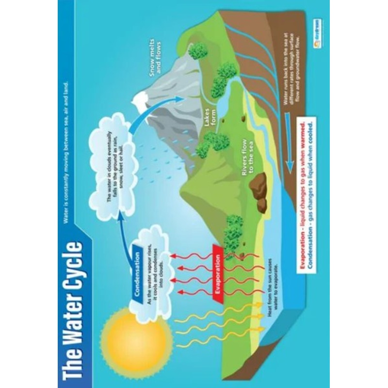 Poster, Water Cycle (Each)