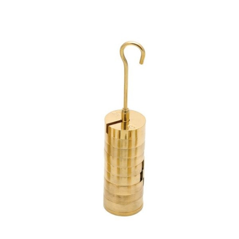 Slotted Set of Masses and Hanger – Brass, Set of 9 weights, one hanger each of 20 g, Total 200g (Each)