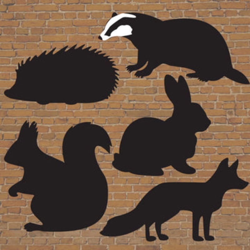 Woodland Animals Chalkboard – set of 5