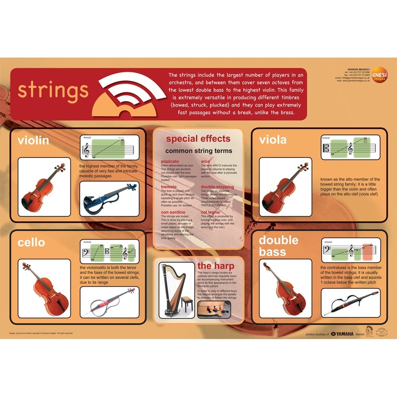 Stringed instruments – A1 educational poster
