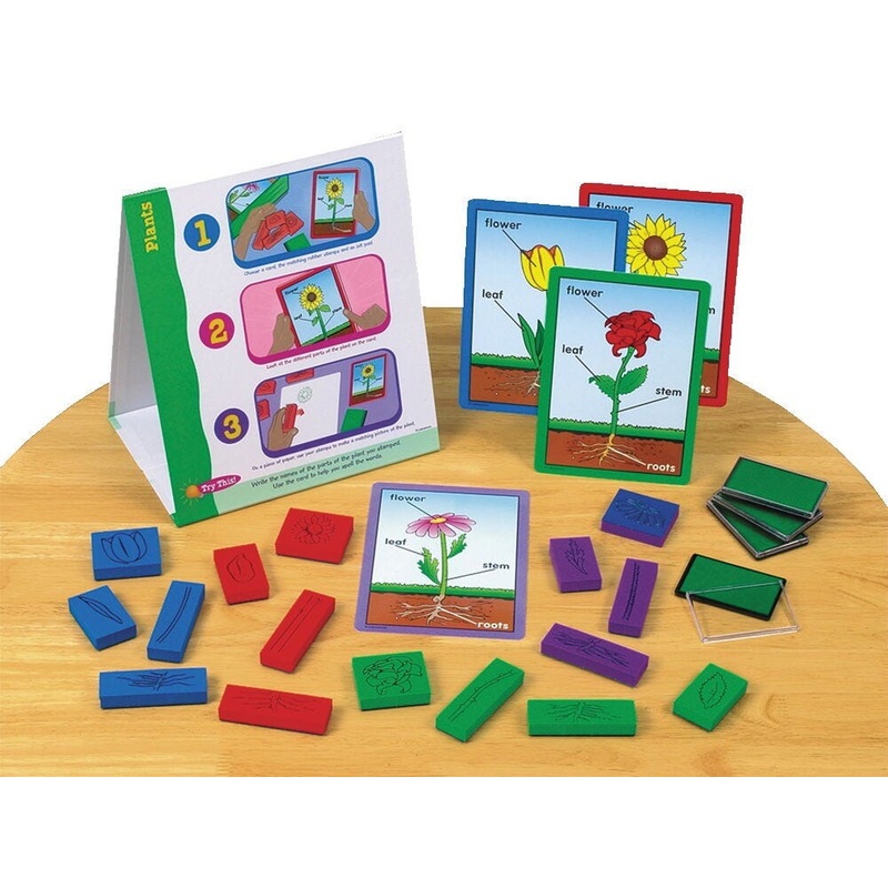 Instant Learning Plants Lifecycle Centre