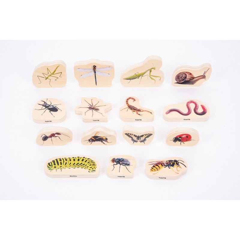 WOODEN MINIBEAST BLOCKS
