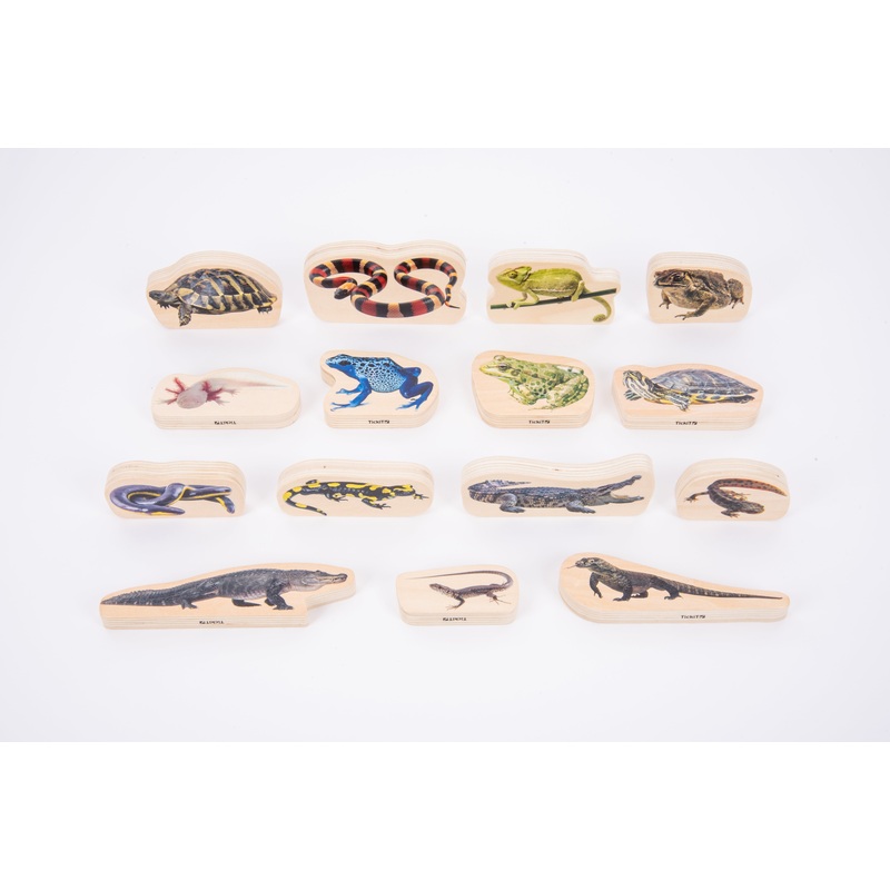 WOODEN REPTILE & AMPHIBIAN BLOCKS