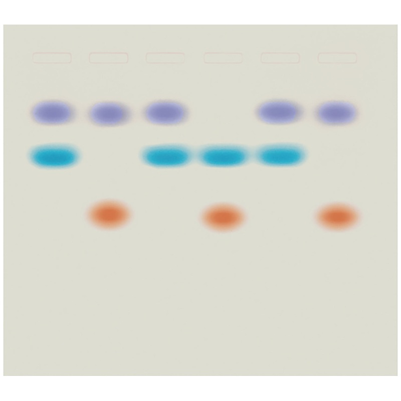 Edvotek Activity Kit – Whose DNA Was Left Behind?