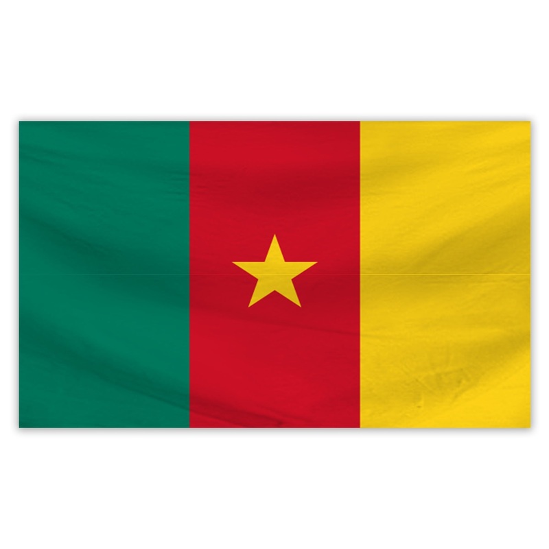 CAMEROON 5FT FLAG|MISC|Standard