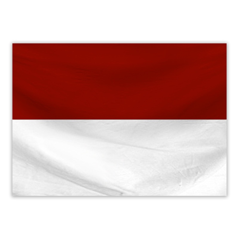 Corner Flag|RED/WHITE|Standard