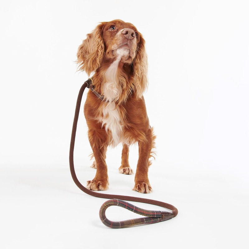 Tartan Trimmed Slip Dog Lead|Classic Tartan|One Size