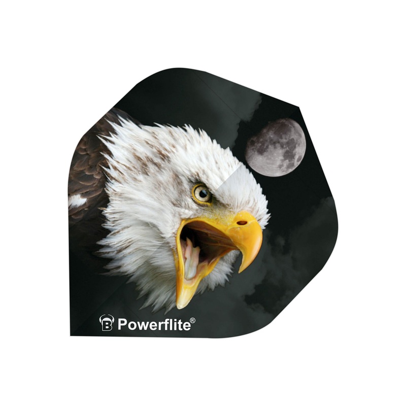Powerflite Eagle Flights|Misc|A Standard