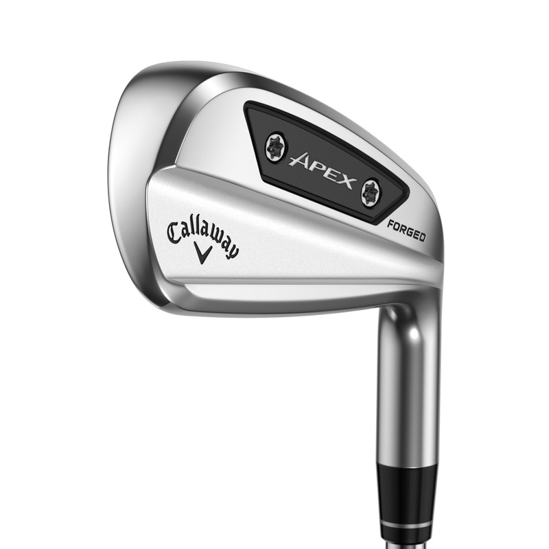 Apex Ai200 Golf Irons (Steel)|Stiff|4-PW (7 Clubs)|True Temper Dynamic Gold MID 100 Steel