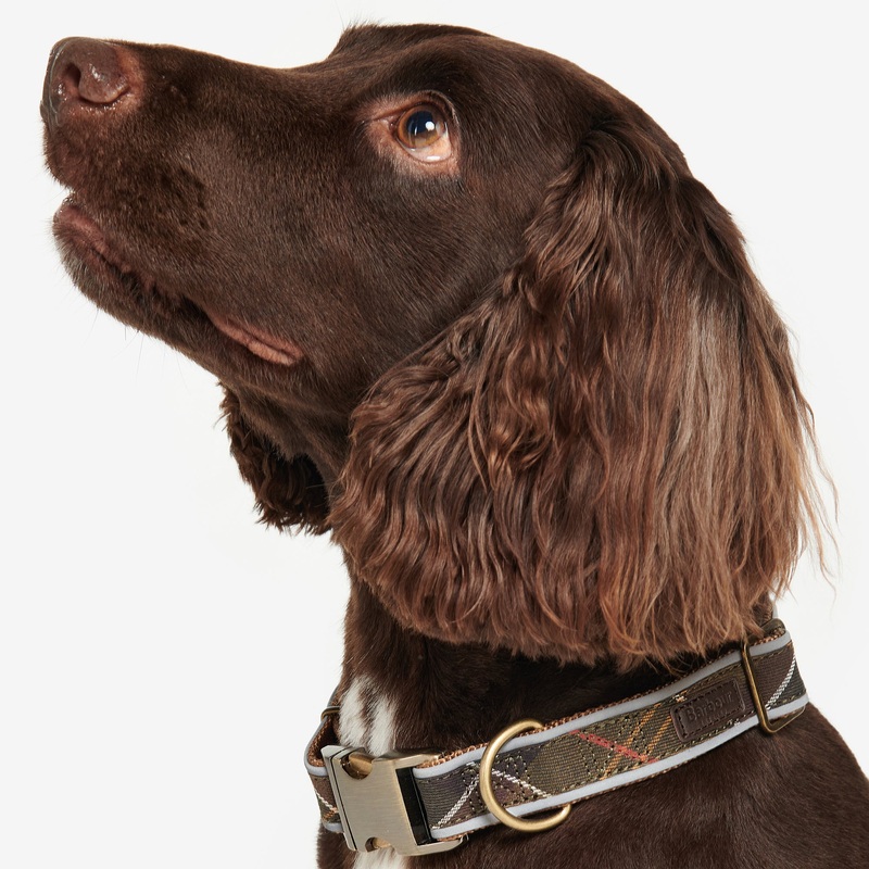 Reflective Tartan Dog Collar|Classic Tartan|Small|Medium|Large