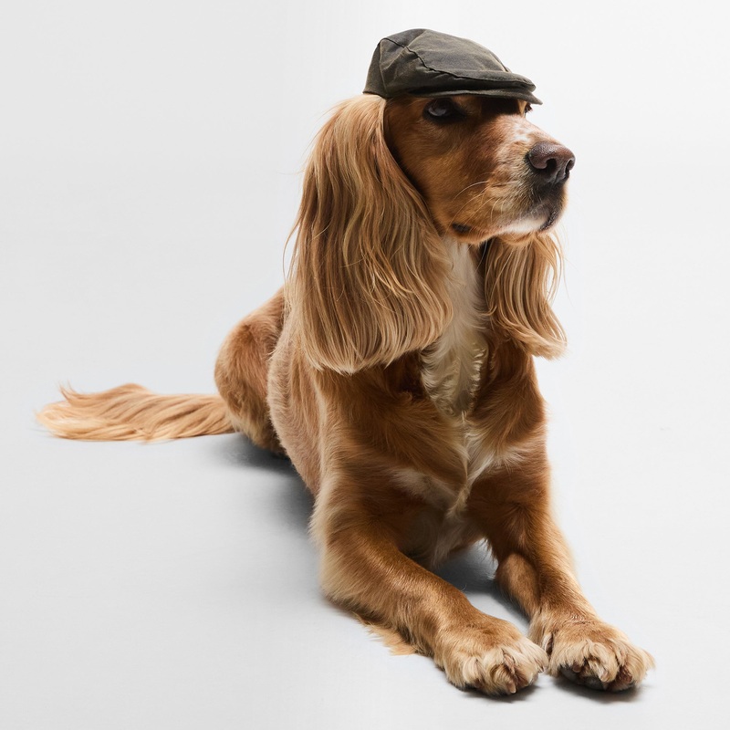 Dog Wax Flat Cap|Olive|S-M|L-XL